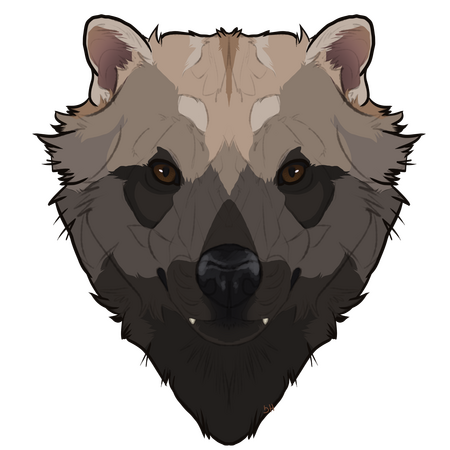 Headshot - $15