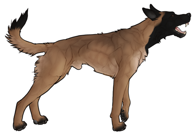 + Complex Shading - $20